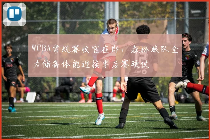 WCBA常规赛收官在即，森林狼队全力储备体能迎接季后赛硬仗