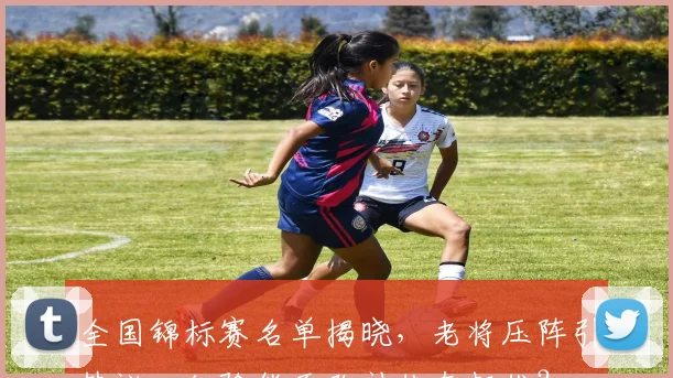 全国锦标赛名单揭晓，老将压阵引热议：经验能否弥补状态起伏？