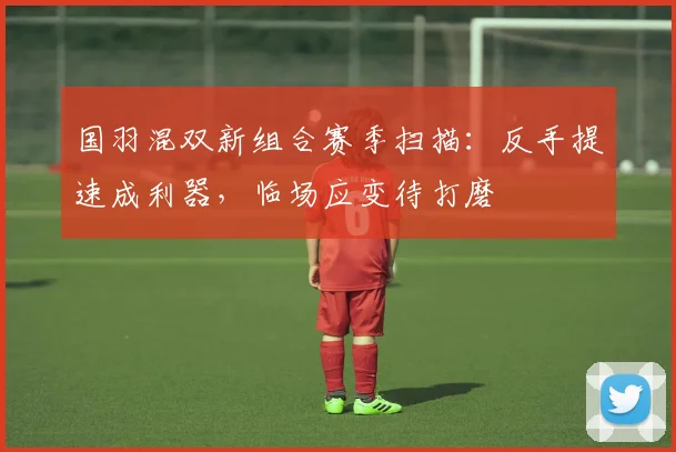 国羽混双新组合赛季扫描：反手提速成利器，临场应变待打磨 - 球探体育