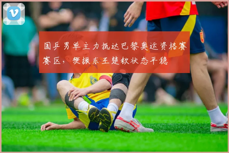 国乒男单主力抵达巴黎奥运资格赛赛区，樊振东王楚钦状态平稳 - 球探体育